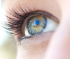 a close up photograph of an eye